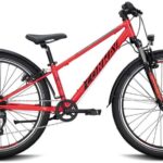 Jett Singlespeed 20''