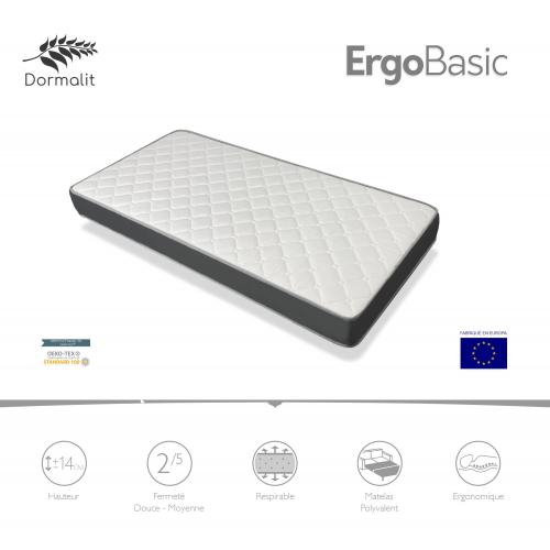 ERGO BASIC
