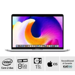 MACBOOK PRO 13 Gris core 2 duo 8 go ram 250 go HDD